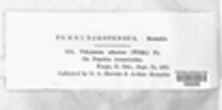 Image Associated With the Occurence